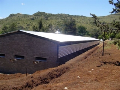 Poultry Layer House Building Services-South Africa - Esaja ...