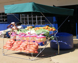 The Hippo Mobile Spaza (Mobile Shop)