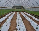 Greenhouse Installation