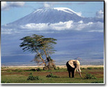 Mount Kilimanjaro Tour