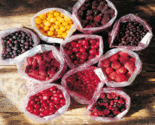 High Quality Fruit | Berries