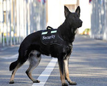 K9 Unit Services