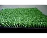 Artificial Grass/ Turf