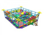 Indoor Play Gyms