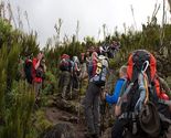 5 Days Marangu Route | Travel & Tours