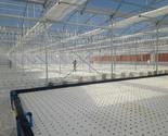 Gofresh Botswana Green House Farming