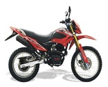 Terra X 250cc MotoMia Motorcycle