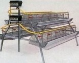 POLTEK Poultry 2 Tier Starter Laying Cages