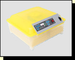 2A 48 Egg Imported Plastic Incubator