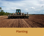 Planting Services | Uganda