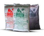 Kaysalt Coarse & Refined Iodized Table Salt