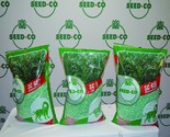 Seedco Medium Maturing Hybrids (Rwanda)