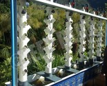 Aquaponics