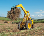 Cane Loaders