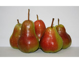 Flamingo Pears