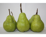 Packhams Triump Pears