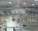 Poultry Bed Packaging Machinery