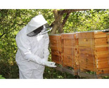 CAB Hive