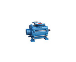 Pompetravaini TRVX 1007 Liquid Ring Vacuum Pumps