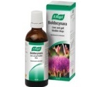 A Vogel Boldocynara 50ML Medicine