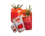 Darsh Redgold Tomato Paste