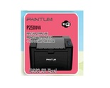 Pantum Mono Single Printer