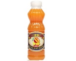 Snack-A-Juice Mango Nectar Blend Juice