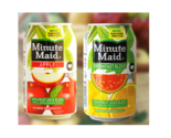 Minute Maid Cans 100% Fruit Juice Blend