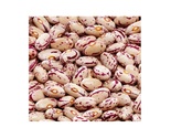 Dry Beans