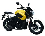 SK 250 X6 Motorcycle