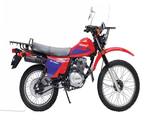 Sport XL Senke Motorcycles