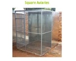 Square Aviaries