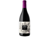 Shiraz Viognier 2007 Wine