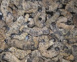 Mashondzha | Mopani Worms (Caterpillars)