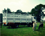 Livestock Transportation Bodies