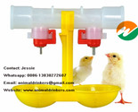 chicken broilers waterers automatic drinkers